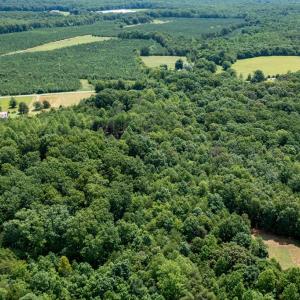 Photo #15 of 639 Elam Road, Pamplin, VA 4.0 acres