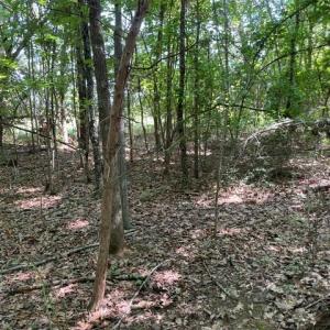 Photo #5 of 639 Elam Road, Pamplin, VA 4.0 acres