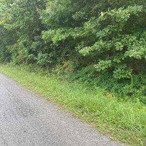 Photo #6 of 639 Elam Road, Pamplin, VA 4.0 acres