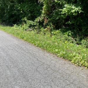 Photo #8 of 639 Elam Road, Pamplin, VA 4.0 acres