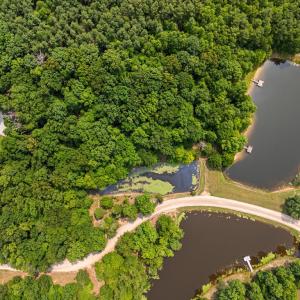 Photo #14 of Lakasie Drive (Lot 8), Farmville, VA 4.4 acres