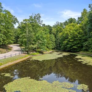 Photo #4 of Lakasie Drive (Lot 8), Farmville, VA 4.4 acres