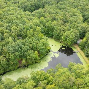 Photo #10 of 516, 480 & 724 Perkins Mill Road, Dillwyn, VA 64.9 acres