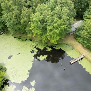 Photo #11 of 516, 480 & 724 Perkins Mill Road, Dillwyn, VA 64.9 acres