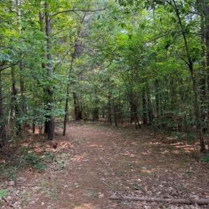 Photo #15 of 516, 480 & 724 Perkins Mill Road, Dillwyn, VA 64.9 acres