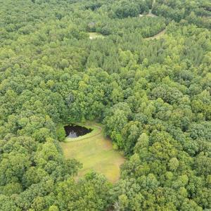 Photo #6 of 516, 480 & 724 Perkins Mill Road, Dillwyn, VA 64.9 acres