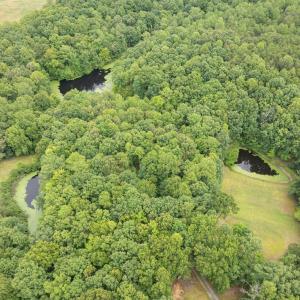 Photo #7 of 516, 480 & 724 Perkins Mill Road, Dillwyn, VA 64.9 acres