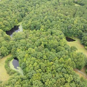Photo #8 of 516, 480 & 724 Perkins Mill Road, Dillwyn, VA 64.9 acres