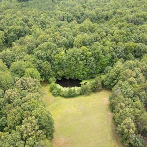Photo #9 of 516, 480 & 724 Perkins Mill Road, Dillwyn, VA 64.9 acres