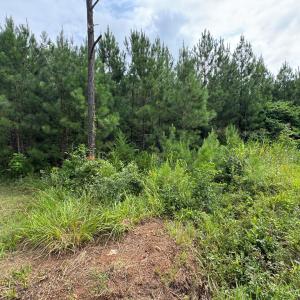 Photo #10 of Stage/Spencer Road, Concord, VA 1.5 acres