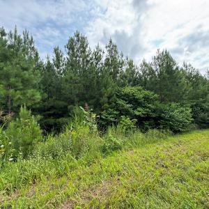 Photo #6 of Stage/Spencer Road, Concord, VA 1.5 acres