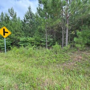 Photo #7 of Stage/Spencer Road, Concord, VA 1.5 acres