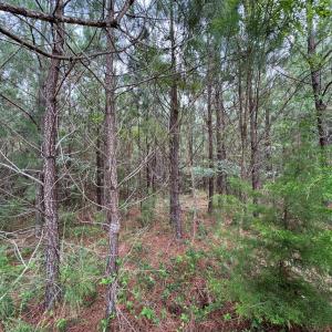 Photo #8 of Stage/Spencer Road, Concord, VA 1.5 acres