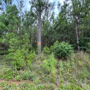 Photo #9 of Stage/Spencer Road, Concord, VA 1.5 acres