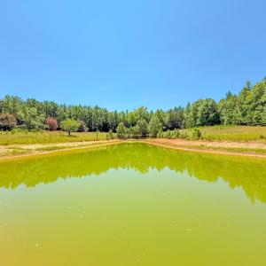Photo #4 of Flat Rock Road, Blackstone, VA 10.0 acres