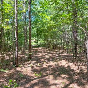 Photo #6 of Flat Rock Road, Blackstone, VA 10.0 acres