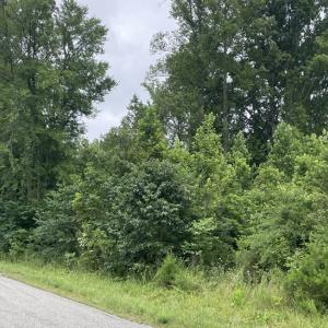 Photo #14 of Horsepen Road, Farmville, VA 7.8 acres