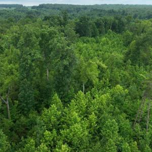 Photo #3 of Horsepen Road, Farmville, VA 7.8 acres