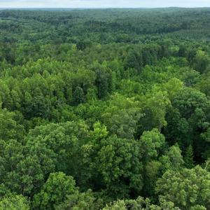 Photo #4 of Horsepen Road, Farmville, VA 7.8 acres