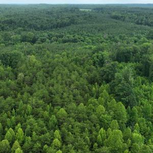 Photo #5 of Horsepen Road, Farmville, VA 7.8 acres