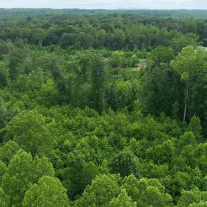 Photo #6 of Horsepen Road, Farmville, VA 7.8 acres