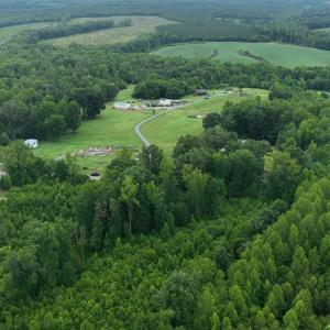Photo #7 of Horsepen Road, Farmville, VA 7.8 acres