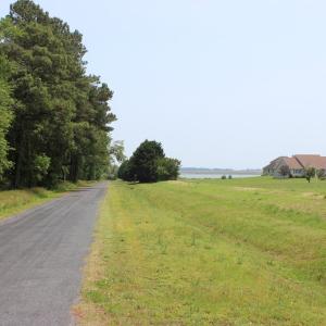 Photo #10 of Lot 20 SANDPIPER LANE, ATLANTIC, VA 153.0 acres
