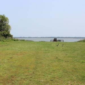 Photo #11 of Lot 20 SANDPIPER LANE, ATLANTIC, VA 153.0 acres
