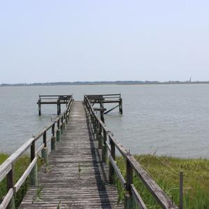 Photo #12 of Lot 20 SANDPIPER LANE, ATLANTIC, VA 153.0 acres