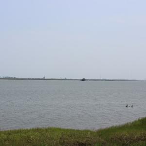 Photo #14 of Lot 20 SANDPIPER LANE, ATLANTIC, VA 153.0 acres
