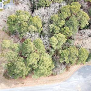 Photo #4 of Lot 20 SANDPIPER LANE, ATLANTIC, VA 153.0 acres