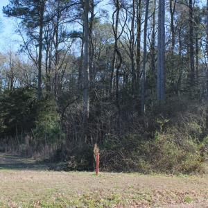 Photo #5 of Lot 20 SANDPIPER LANE, ATLANTIC, VA 153.0 acres