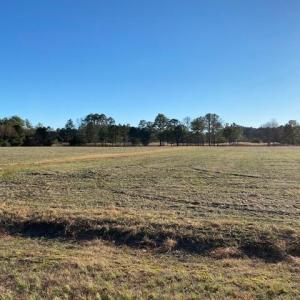 Photo #2 of LOT 7 GREEN LANDING ROAD, ONANCOCK, VA 3.3 acres