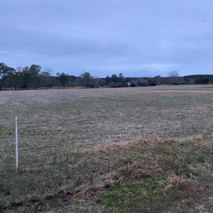 Photo #3 of LOT 7 GREEN LANDING ROAD, ONANCOCK, VA 3.3 acres