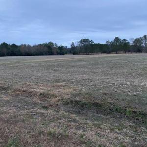 Photo #4 of LOT 7 GREEN LANDING ROAD, ONANCOCK, VA 3.3 acres