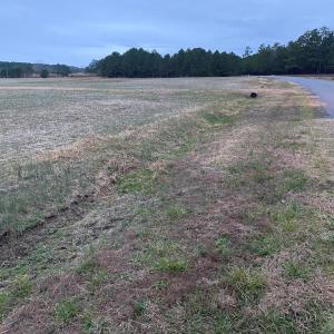 Photo #5 of LOT 7 GREEN LANDING ROAD, ONANCOCK, VA 3.3 acres