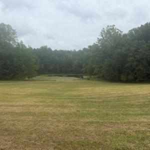 Photo #2 of 604 Abilene Road, Farmville, VA 6.3 acres
