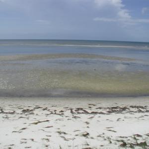 Photo #7 of Lot 2B SUNSET WAY, MACHIPONGO, VA 5.0 acres