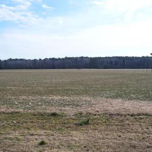 Photo #6 of Lot 2B SUNSET WAY, MACHIPONGO, VA 5.0 acres