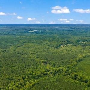 Photo #7 of Indian Springs Rd, Green Bay, VA 27.0 acres