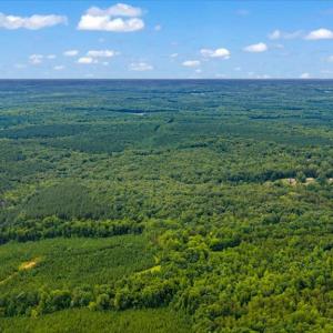 Photo #8 of Indian Springs Rd, Green Bay, VA 27.0 acres