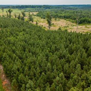 Photo #2 of Germantown Rd, Keysville, VA 4.5 acres