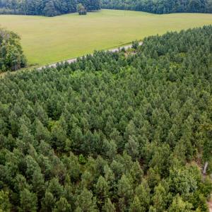 Photo #3 of Germantown Rd, Keysville, VA 4.5 acres