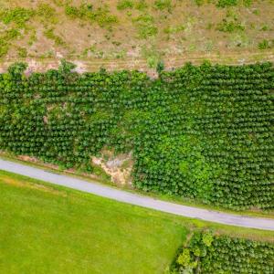 Photo #4 of Germantown Rd, Keysville, VA 4.5 acres