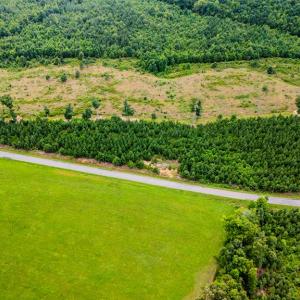 Photo #5 of Germantown Rd, Keysville, VA 4.5 acres