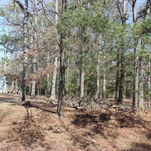 Photo #2 of 85 BARRACUDA CT, GREENBACKVILLE, VA 65.0 acres