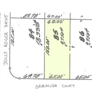 Photo #4 of 85 BARRACUDA CT, GREENBACKVILLE, VA 65.0 acres