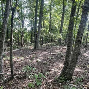 Photo #9 of Bibee Rd, Pittsville, VA 2.2 acres