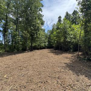 Photo #10 of Watt Abbitt Road, Appomattox, VA 42.7 acres