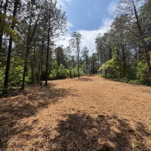 Photo #12 of Watt Abbitt Road, Appomattox, VA 42.7 acres